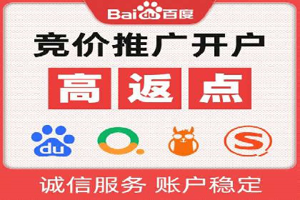 精准投放，高效转化——网站sem托管的胜利案例